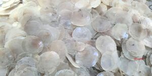 eco-friendly capiz shell home decor
